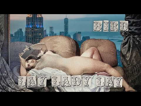 Bird - Lay Lady Lay (Official Music Video)