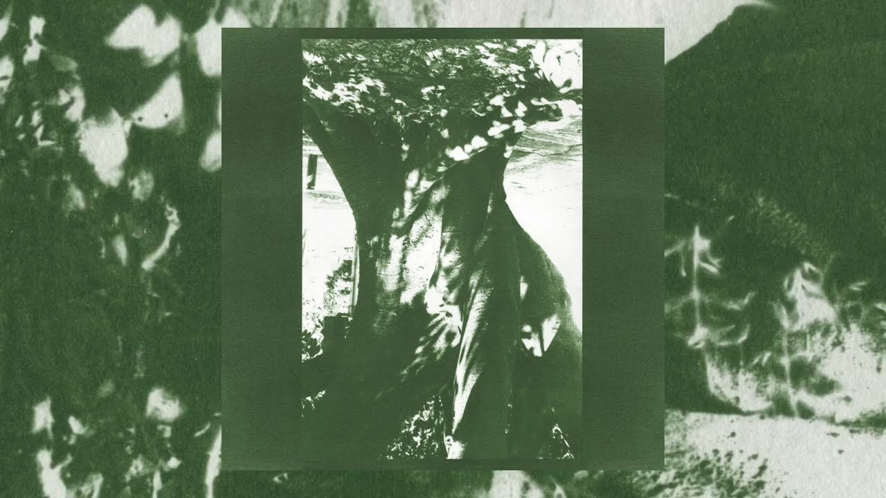 Caméra - Le Philtre