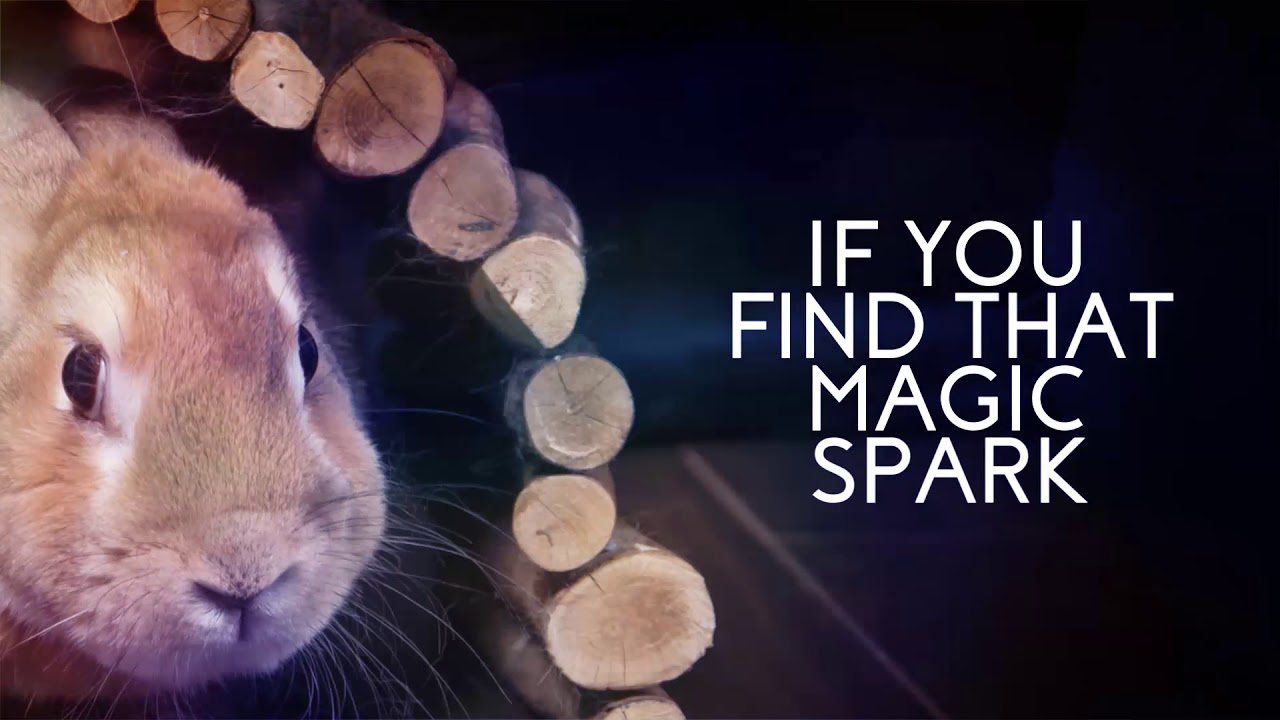 Hail Taxi - Magic Spark [lyric video]