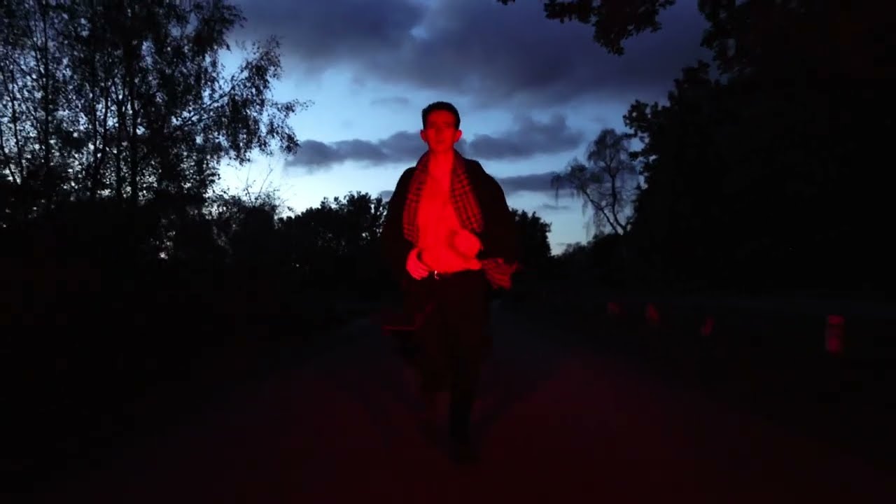 Michael Bird - Roots (Official Video)