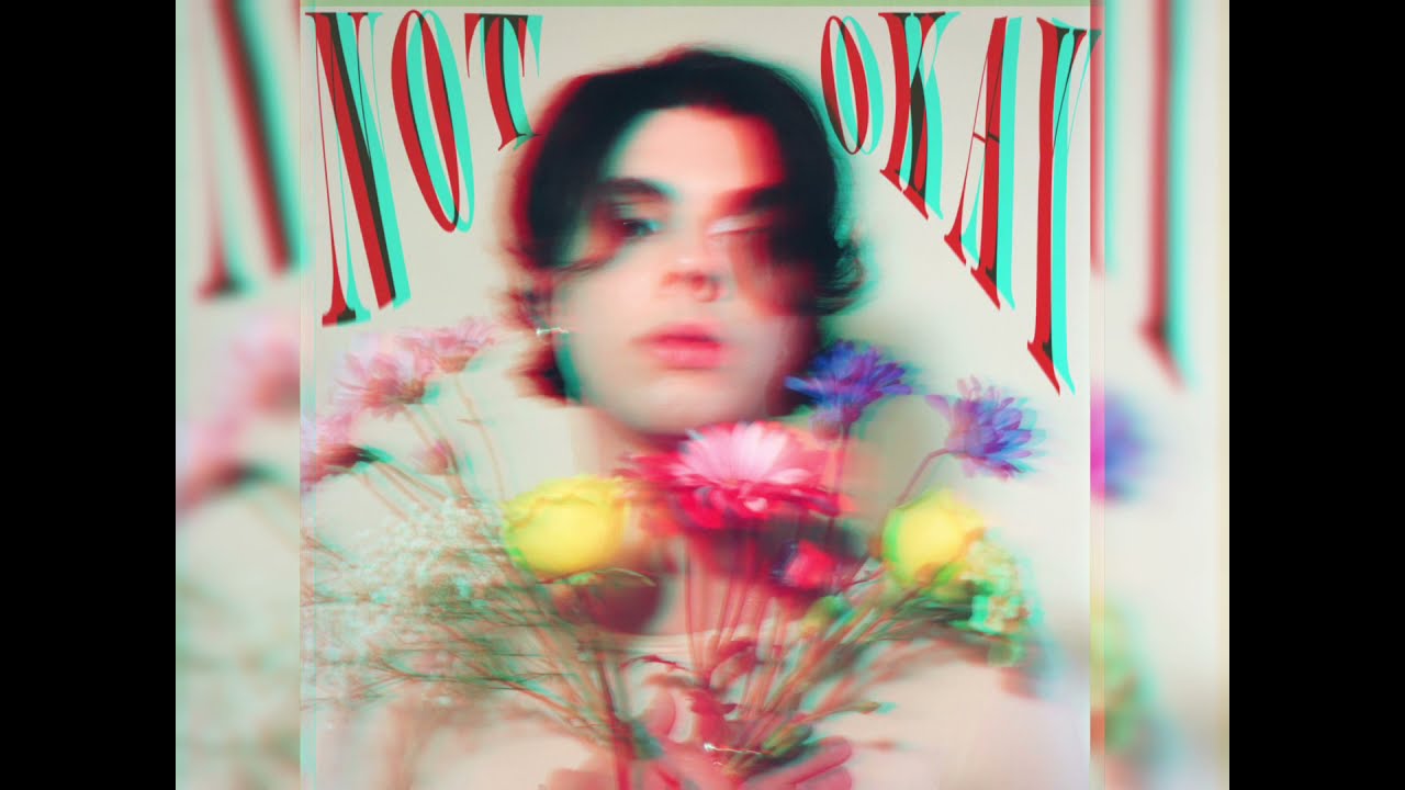 Micky James - Not Okay (Official Audio)