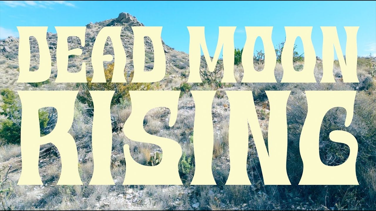 Cactus Flowers - Dead Moon Rising