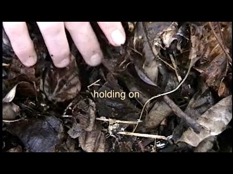 Joshu - holding on (Lyric Video)
