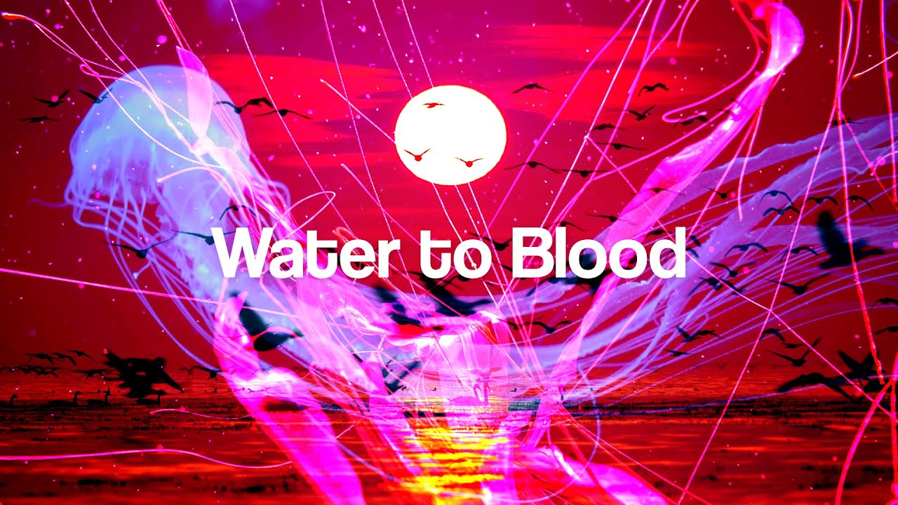Water to Blood by Anne Stott (OFFICIAL LYRIC VIDEO)