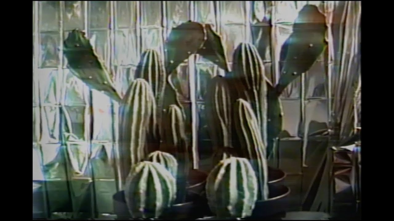 Pretty - Wait for the Sun (Official Music Video)