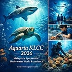 aquaria klcc Underwater tunnel at Aquaria KLCC with visitors exploring marine life.