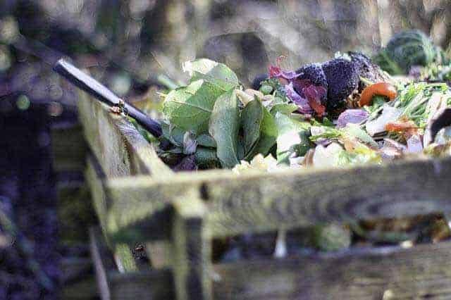 Guide to Growing a Self Sufficient Garden 322
