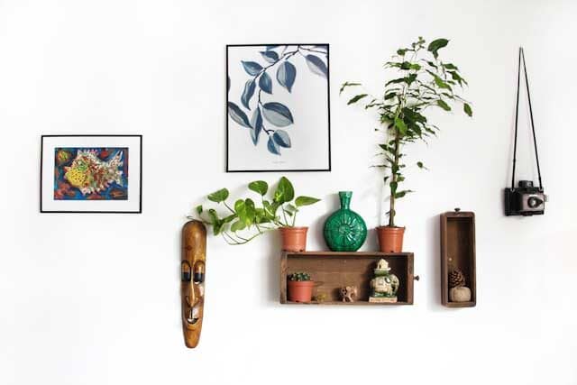 manja vitolic 7tov35hnkao unsplash