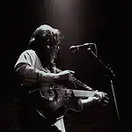 The Wonder Licks