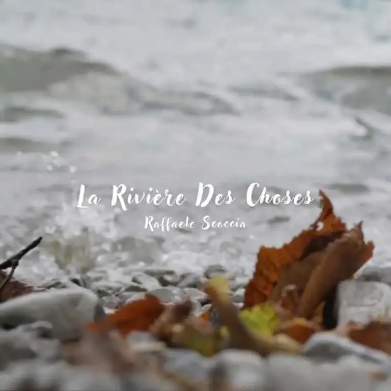 Peaceful river with fallen leaves and smooth stones in the foreground.