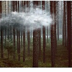 Cloud hovering over a forest of tall trees, symbolizing hope and achievement.